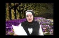 Los Pecados Que Cometimos antes de Aceptar el Islam.