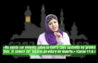El Verdadero Islam .