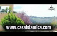 LA PREGUNTA DE DIOS A JESUS (La paz De Dios esta con él)