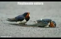 LA PREGUNTA DE DIOS A JESUS (La paz De Dios esta con él)