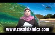 Ciertamente de Allah hemos venido y hacia Él hemos de regresar.