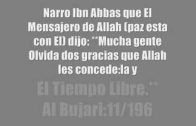 Los Pecados Que Cometimos antes de Aceptar el Islam.