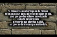 LA PREGUNTA DE DIOS A JESUS (La paz De Dios esta con él)