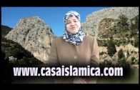 LA PREGUNTA DE DIOS A JESUS (La paz De Dios esta con él)