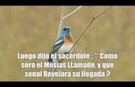 Muhammad en la santa Biblia.