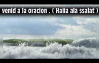 LA PREGUNTA DE DIOS A JESUS (La paz De Dios esta con él)