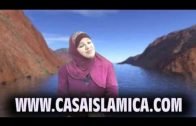 El Verdadero Islam .