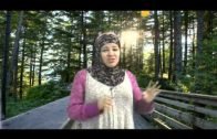 LA PREGUNTA DE DIOS A JESUS (La paz De Dios esta con él)