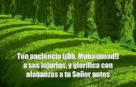 No temas; Ciertamente Allah está con nosotros.