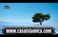 El Verdadero Islam .