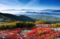 LA PREGUNTA DE DIOS A JESUS (La paz De Dios esta con él)