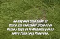 LA PREGUNTA DE DIOS A JESUS (La paz De Dios esta con él)