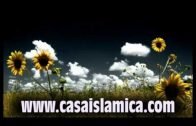 LA PREGUNTA DE DIOS A JESUS (La paz De Dios esta con él)
