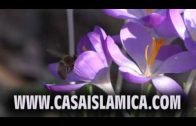 Comio en El Mes De Ramadan !!!