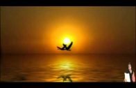 LA PREGUNTA DE DIOS A JESUS (La paz De Dios esta con él)