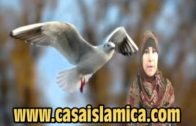 El Verdadero Islam .