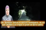 LA PREGUNTA DE DIOS A JESUS (La paz De Dios esta con él)