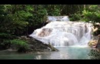 LA PREGUNTA DE DIOS A JESUS (La paz De Dios esta con él)