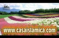 LA PREGUNTA DE DIOS A JESUS (La paz De Dios esta con él)