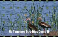 El Verdadero Islam .
